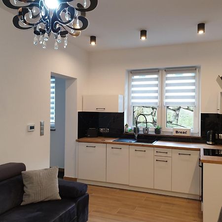 Villa Mila Apartamenty Karpacz Εξωτερικό φωτογραφία