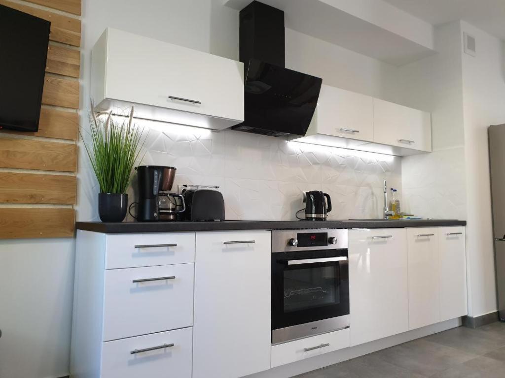 Villa Mila Apartamenty Karpacz Εξωτερικό φωτογραφία
