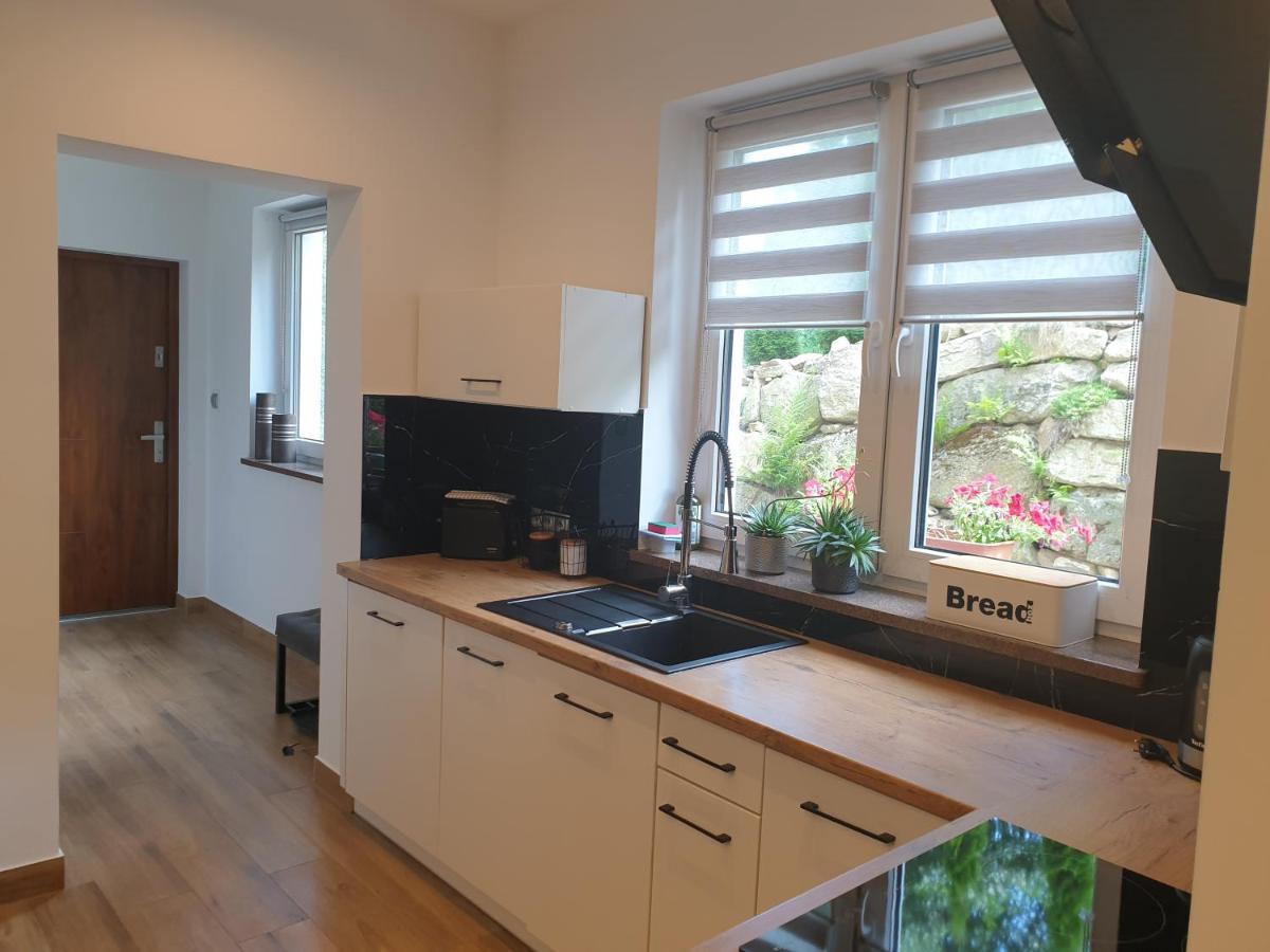 Villa Mila Apartamenty Karpacz Εξωτερικό φωτογραφία